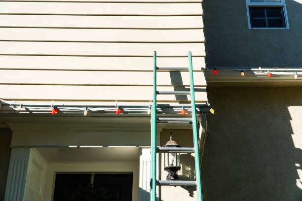 Best Siding Painting and Refinishing  in South Daytona, FL