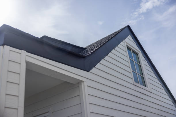 Best Aluminum Siding Installation  in South Daytona, FL